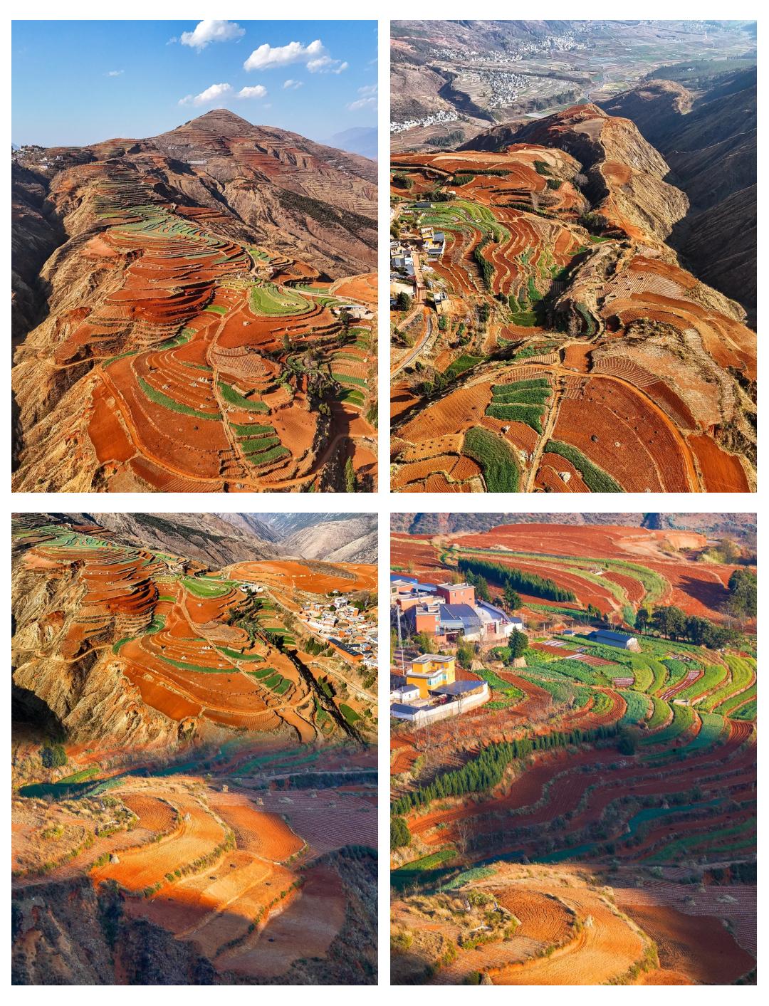 乐鱼vip 注册-关于&quot;红土、硬地、草地：不同场地带来的独特体验&quot;的信息