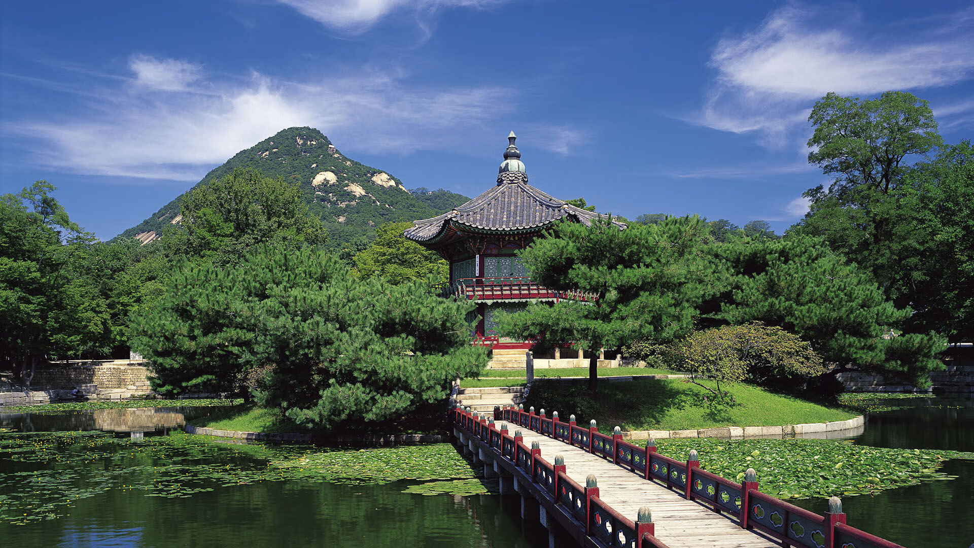 乐鱼体育登录-本泽马荣获欧洲杯金球奖，本泽马欧冠