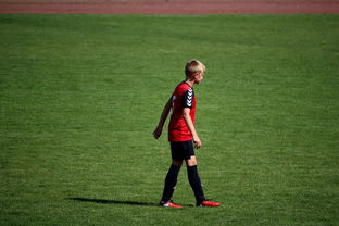 Leyu-乐鱼体育-未来足球场馆将融合智能照明和环境监测系统，绿色科技引领行业